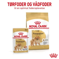 Royal Canin Pomeranian Adult Mousse