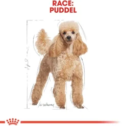 Royal Canin Poodle Adult