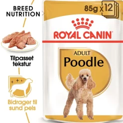 Royal Canin Poodle Adult