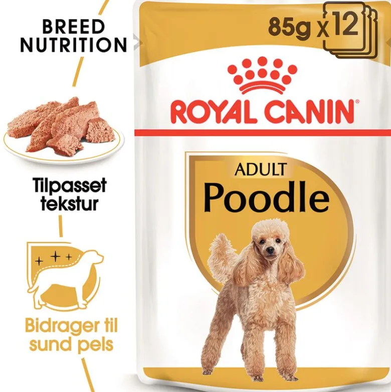Royal Canin Poodle Adult
