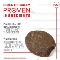 Royal Canin Puppy Immunity & Digestion Supplement Chews