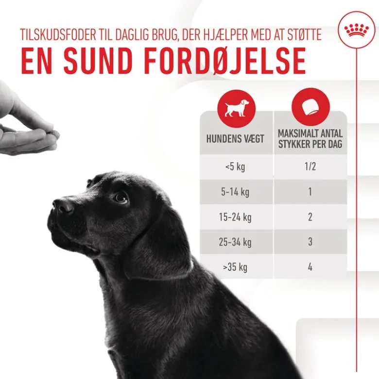 Royal Canin Puppy Immunity & Digestion Supplement Chews