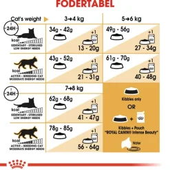 Royal Canin Ragdoll Adult