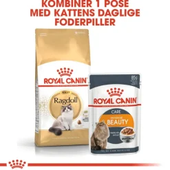 Royal Canin Ragdoll Adult