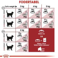 Royal Canin Regular Fit