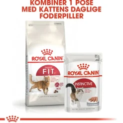 Royal Canin Regular Fit