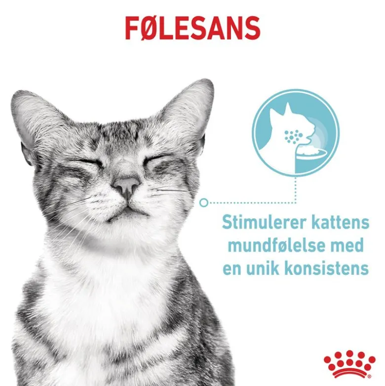 Royal Canin Sensory Feel i gelé