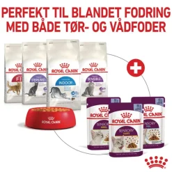 Royal Canin Sensory Feel i gelé