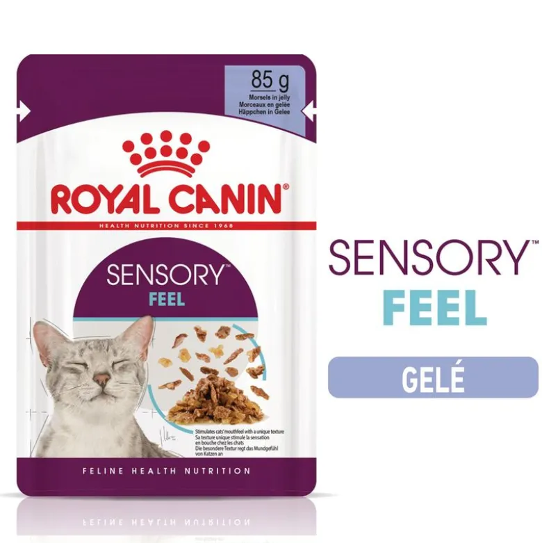 Royal Canin Sensory Feel i gelé