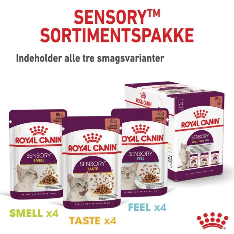 Royal Canin Sensory Feel i gelé