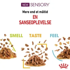 Royal Canin Sensory Feel i gelé