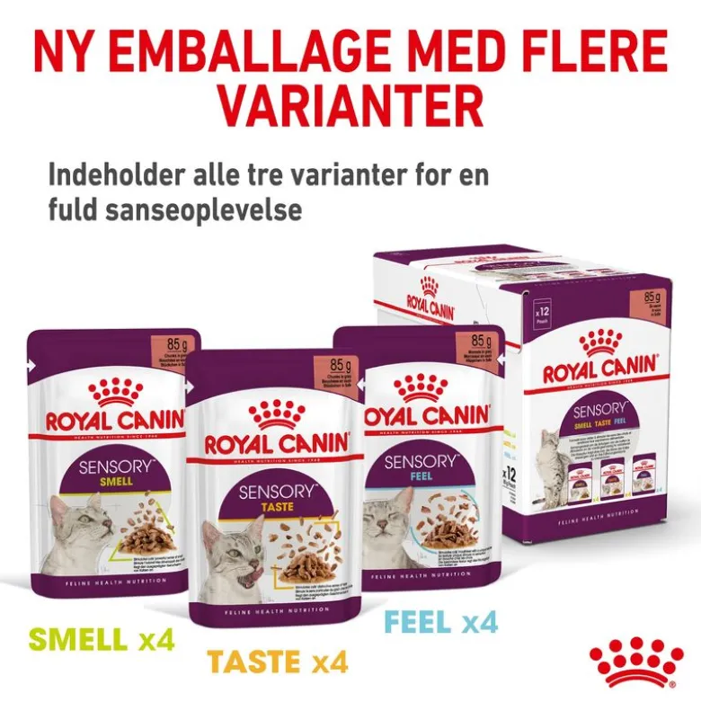 Royal Canin Sensory Feel i sauce
