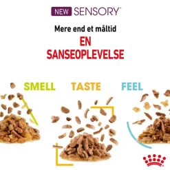 Royal Canin Sensory Multipack (Smell/Tast/Feel) i sauce