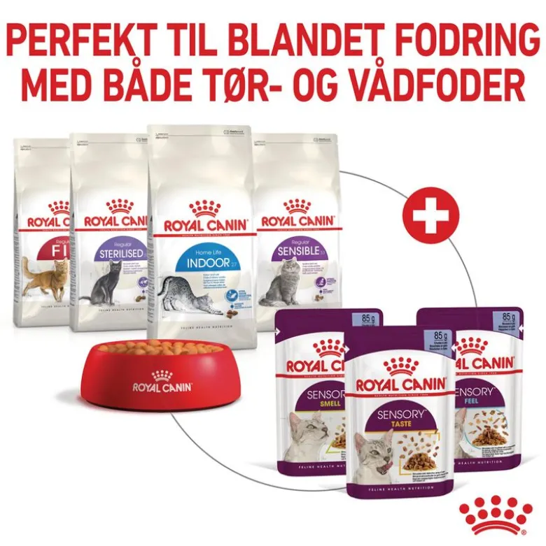 Royal Canin Sensory Smell i gelé