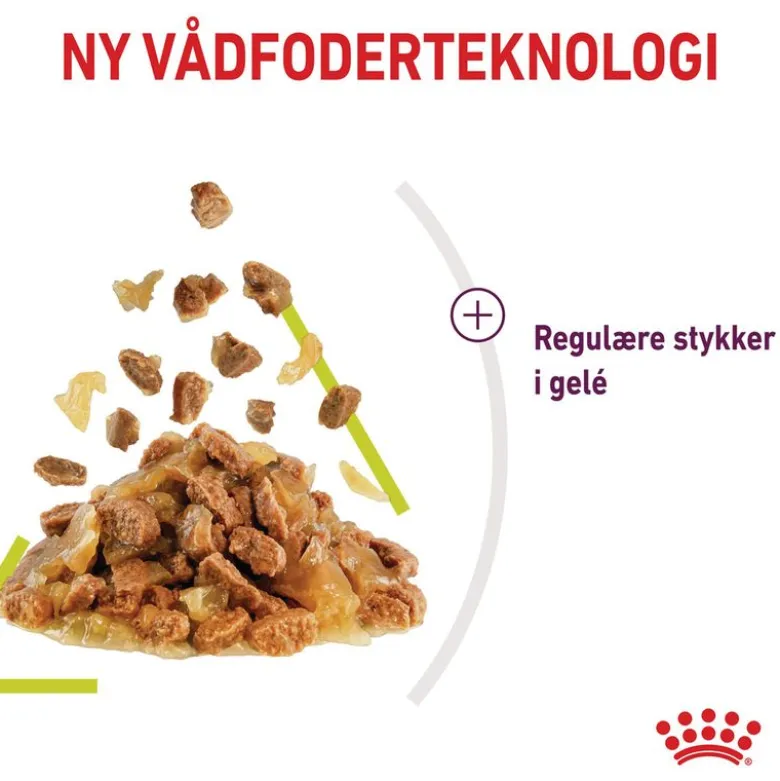Royal Canin Sensory Smell i gelé