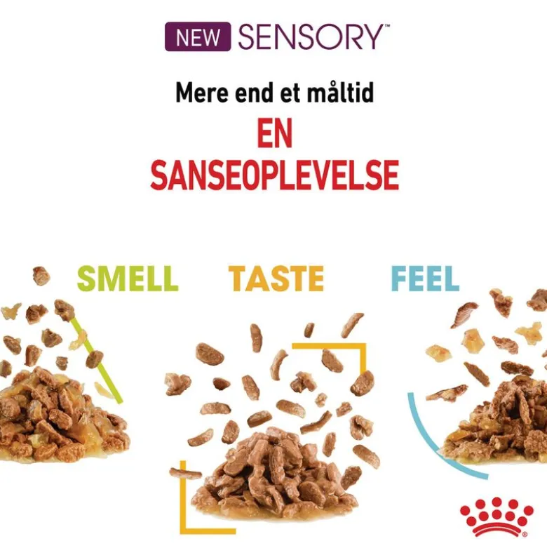 Royal Canin Sensory Smell i gelé