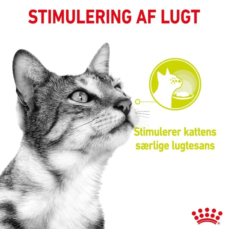 Royal Canin Sensory Smell i sauce