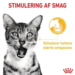 Royal Canin Sensory Taste i gelé