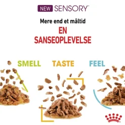 Royal Canin Sensory Taste i gelé
