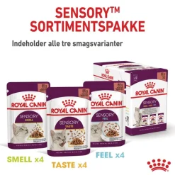 Royal Canin Sensory Taste i gelé