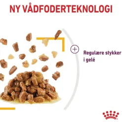 Royal Canin Sensory Taste i gelé