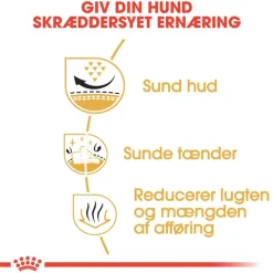 Royal Canin Shih Tzu Adult