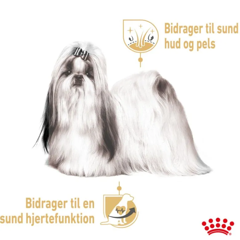 Royal Canin Shih Tzu Adult Mousse