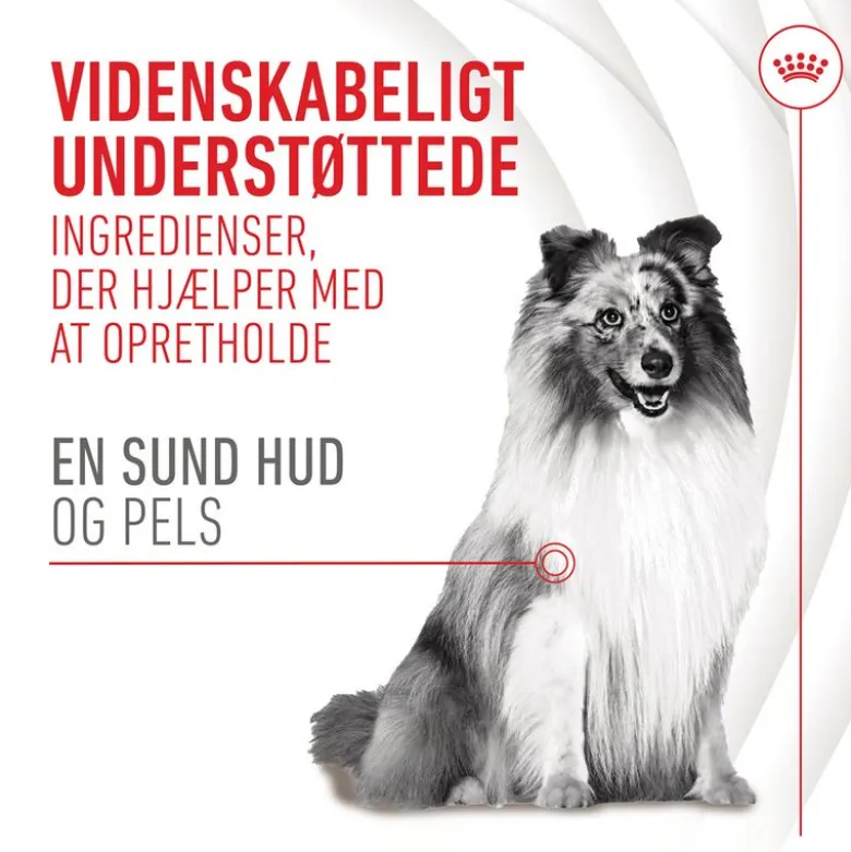 Royal Canin Skin & Coat Adult supplement tyggesnacks