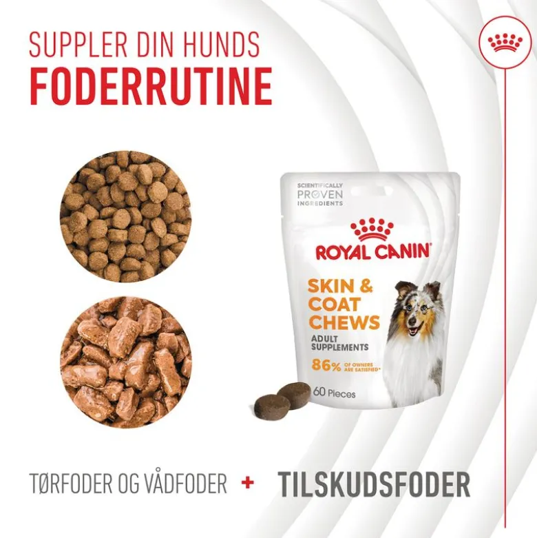 Royal Canin Skin & Coat Adult supplement tyggesnacks