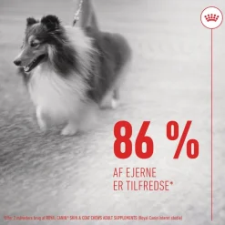 Royal Canin Skin & Coat Adult supplement tyggesnacks