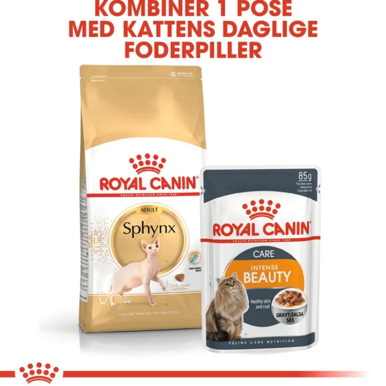 Royal Canin Sphynx Adult