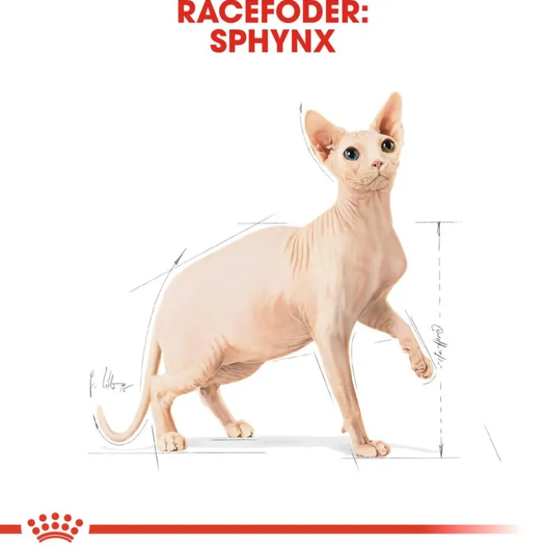 Royal Canin Sphynx Adult
