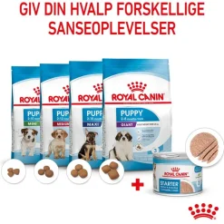 Royal Canin Starter Mother & Babydog Ultra Soft Mousse