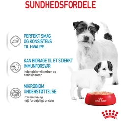 Royal Canin Starter Mother & Babydog Ultra Soft Mousse