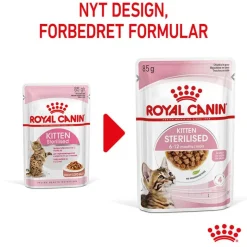 Royal Canin Sterilised Kitten i sauce