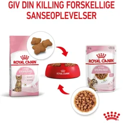 Royal Canin Sterilised Kitten i sauce