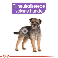Royal Canin Sterilised Mousse