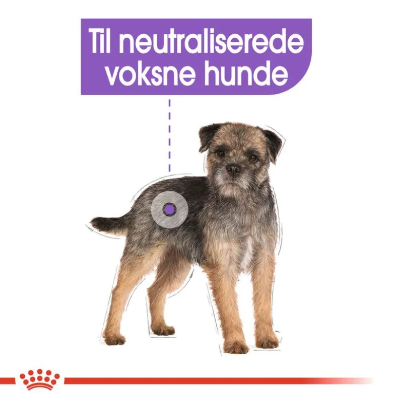 Royal Canin Sterilised Mousse