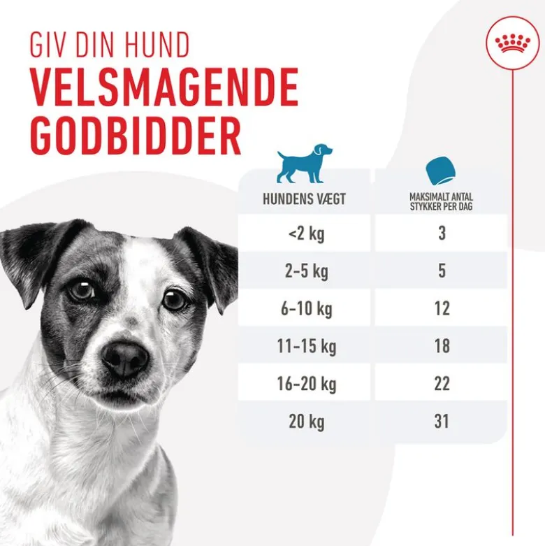 Royal Canin Training Treats