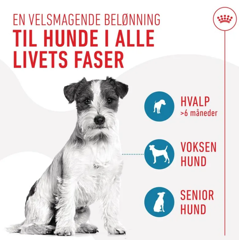 Royal Canin Training Treats