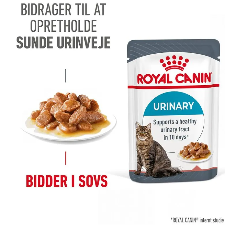 Royal Canin Urinary Care i sauce