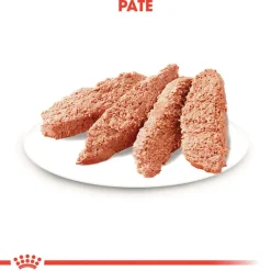 Royal Canin Urinary Care Mousse