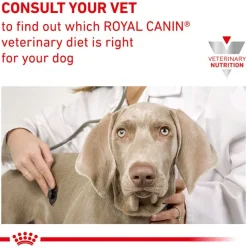 Royal Canin Veterinary Canine Hypoallergenic Puppy