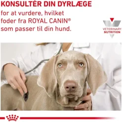 Royal Canin Veterinary Canine Early Renal