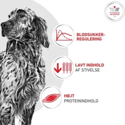 Royal Canin Veterinary Canine Glycobalance