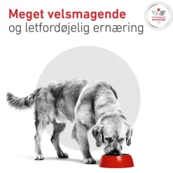 Royal Canin Veterinary Canine Glycobalance