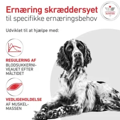 Royal Canin Veterinary Canine Glycobalance