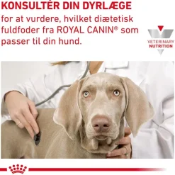 Royal Canin Veterinary Canine Gastrointestinal