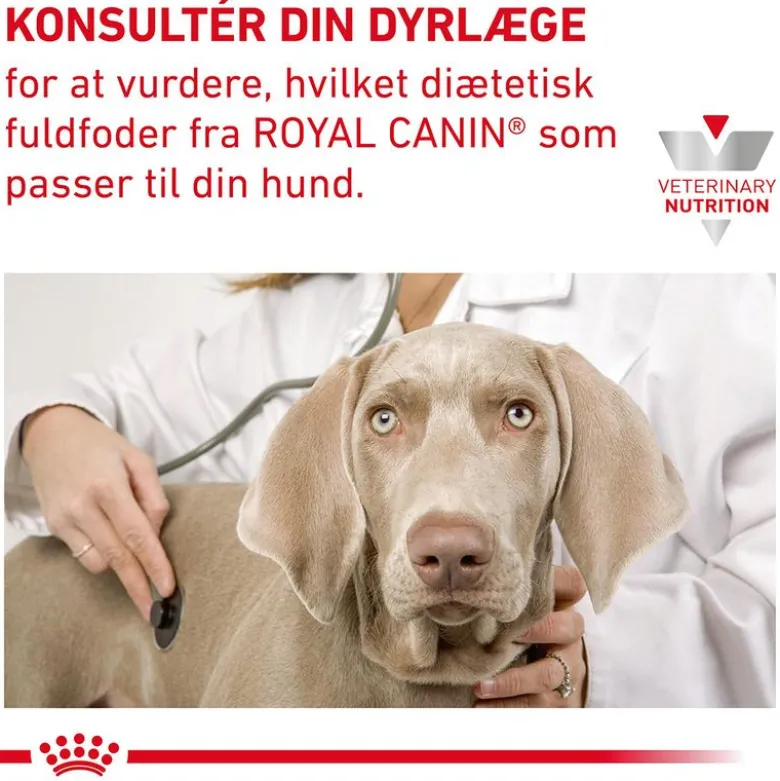 Royal Canin Veterinary Canine Gastrointestinal