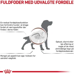 Royal Canin Veterinary Canine Gastrointestinal